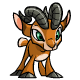 Petpet des nuk