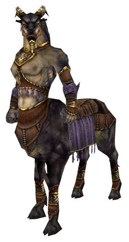 Plik:Zhed Shadowhoof Veldrunner armor.jpg
