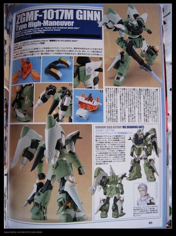 File:GNN67803456.jpg