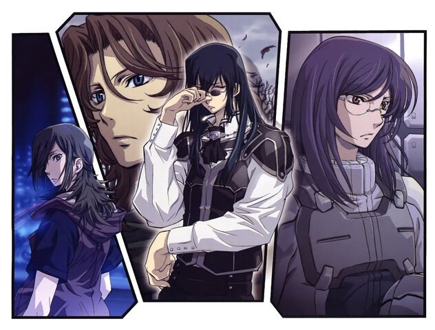File:Ch21hoas.jpg