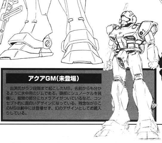 File:Aqua GM.jpeg