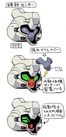 File:Catsith head.jpg