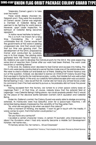 File:Orbit Flag LOL3.jpg