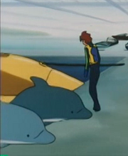 Docked Dolphins