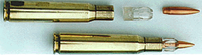 Sabot50