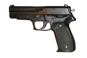 SIG P226