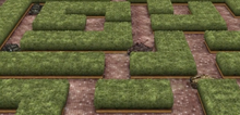 TortoiseMaze