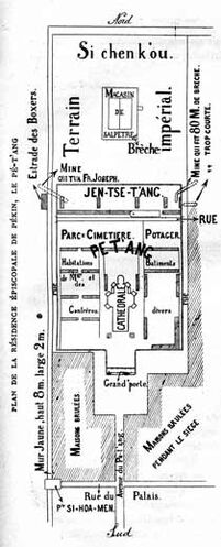 Ap5516.jpg