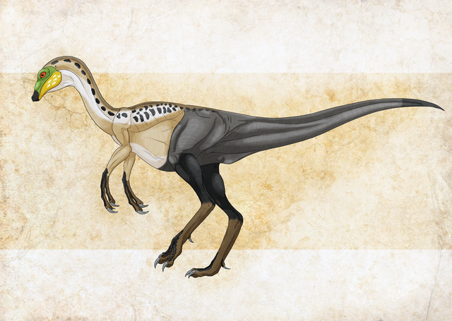 File:Struthiomimus.png