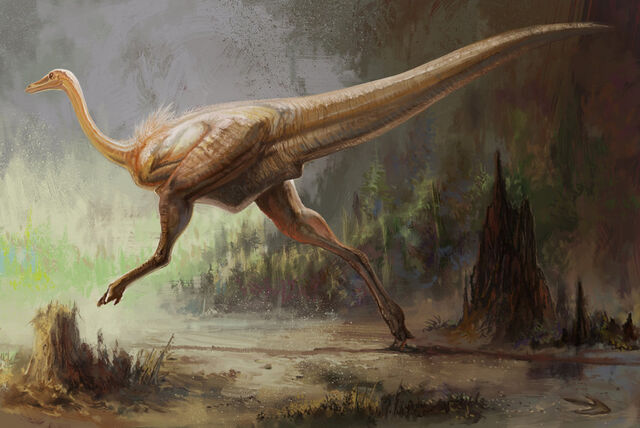 File:Zgallimimus.jpg