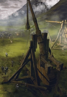 Reinforced Trebuchet