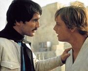 Biggs und Luke.jpg