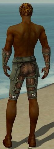 File:Ranger Ascalon Armor M gray arms legs back.jpg