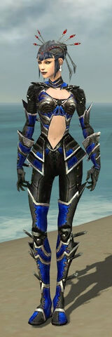 File:Necromancer Kurzick Armor F dyed front.jpg