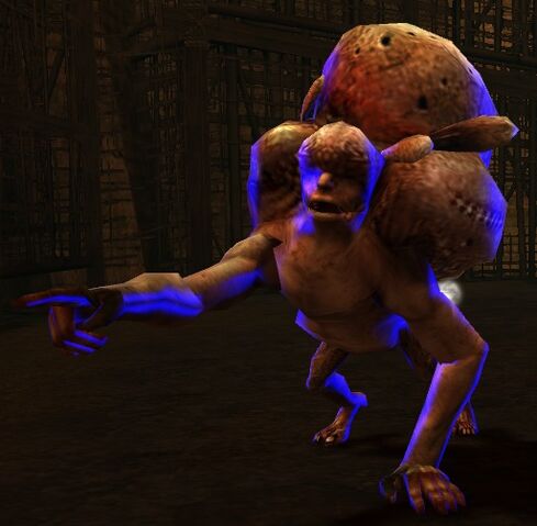 File:The Afflicted Cho.jpg