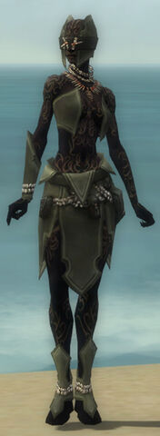 File:Ritualist Kurzick Armor F gray front.jpg