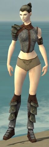 File:Warrior Krytan Armor F gray chest feet front.jpg