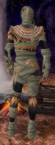 File:Ritualist Ancient Armor M gray back.jpg