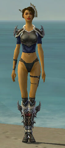 File:Assassin Norn Armor F gray chest feet front.jpg