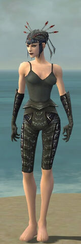 File:Necromancer Ascalon Armor F gray arms legs front.jpg