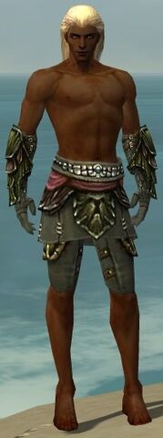 File:Ranger Elite Luxon Armor M gray arms legs front.jpg