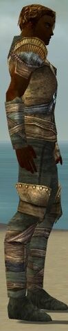 File:Ranger Tyrian Armor M gray side alternate.jpg