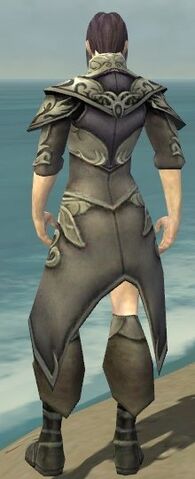 File:Elementalist Monument Armor M gray chest feet back.jpg