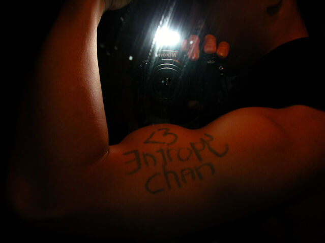 File:LoveEntropy1.jpg