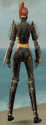 File:Assassin Exotic Armor F gray back.jpg