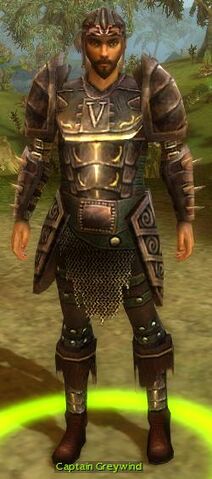 File:CaptainGreywind.jpg