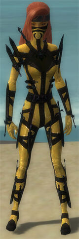 File:Assassin Obsidian Armor F dyed front.jpg