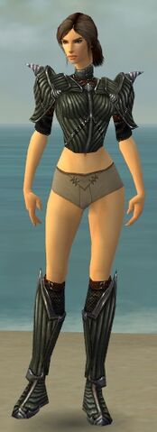 File:Warrior Wyvern Armor F gray chest feet front.jpg