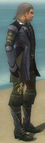 File:Mesmer Deldrimor Armor M gray side.jpg