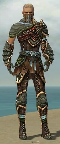 File:Ranger Luxon Armor M gray front.jpg