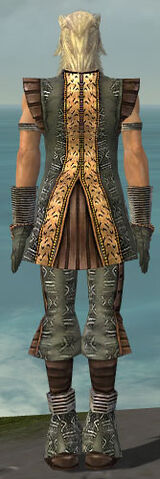 File:Elementalist Istani Armor M gray back.jpg