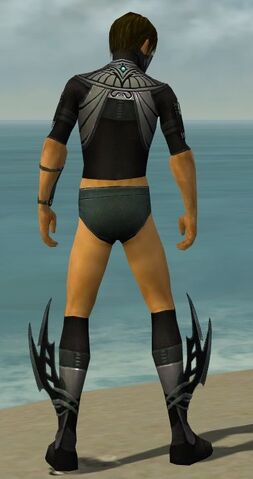 File:Assassin Vabbian Armor M gray chest feet back.jpg