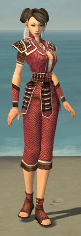 File:Monk Elite Judge Armor F dyed front.jpg