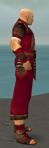 File:Monk Censor Armor M dyed side.jpg