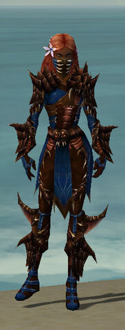 File:Ranger Primeval Armor F dyed front.jpg