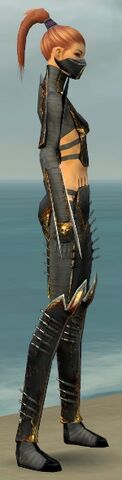 File:Assassin Exotic Armor F gray side alternate.jpg