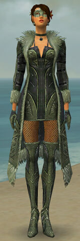 File:Mesmer Kurzick Armor F gray front.jpg