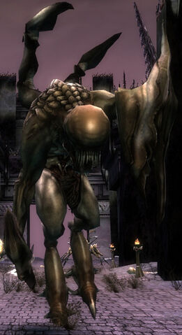 File:Emissary of Dhuum.jpg