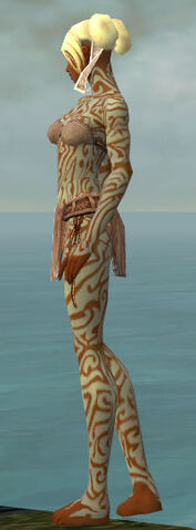 File:Monk Flowing Armor F gray side.jpg