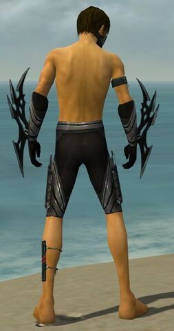 File:Assassin Vabbian Armor M gray arms legs back.jpg