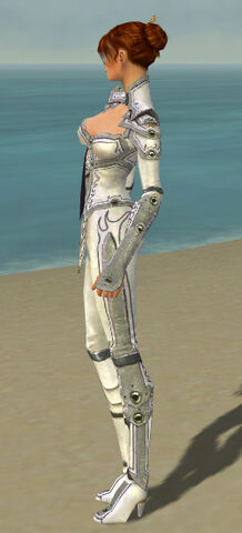 File:Elementalist Tyrian Armor F gray side.jpg
