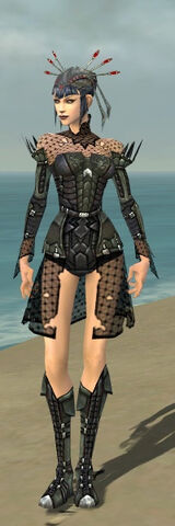 File:Necromancer Cabal Armor F gray front.jpg