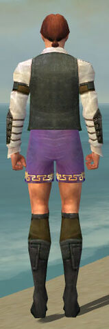 File:Mesmer Ascalon Armor M gray chest feet back.jpg