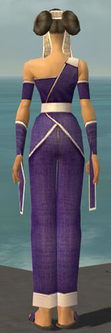 File:Monk Ascalon Armor F dyed back.jpg