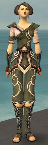 File:Monk Shing Jea Armor F gray front.jpg