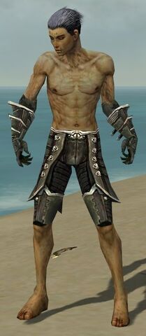 File:Necromancer Elite Kurzick Armor M gray arms legs front.jpg